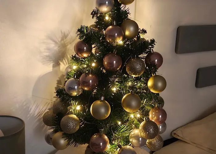 Lejlighed Centar Podgorica