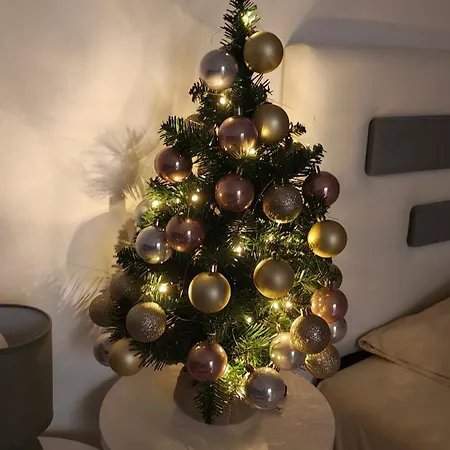 Апартаменты Centar Подгорица