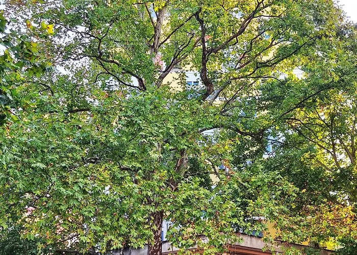 Centar Apartman Podgorica